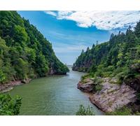500 Pezzi di Puzzle per Il Regalo di Giocattoli Educativi per Adolescenti - Rocce di fiume alberi 52x38cm