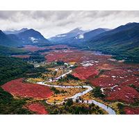 500 Pezzi Jigsaw Puzzle for Adults & for Kids Age 14 Years Up - Montagne tornanti del fiume 52x38cm