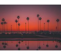 500 Pezzi Jigsaw Puzzle for Adults & for Kids Age 14 Years Up - Palme tramonto san diego 52x38cm