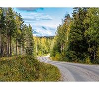 500 Pezzi, Puzzle Adulti,per Adulti e Bambini dai 14 Anni - Foreste di svolta stradale 52x38cm