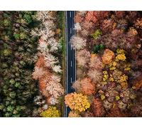500 Pezzi, Puzzle Adulti,per Adulti e Bambini dai 14 Anni - Vista aerea delle foreste e delle strade 52x38cm