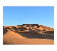 500 Pezzi Puzzle Difficile, Sfida per Adulti-Deserto,sabbia,tracce 52x38cm