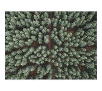 500 Pezzi Puzzle Difficile, Sfida per Adulti-foreste,strada,vista aerea 52x38cm