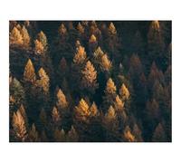 500 Pezzi Puzzle Difficile, Sfida per Adulti-foreste,vista aerea,alberi 52x38cm