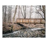 500 Pezzi Puzzle Difficile, Sfida per Adulti-Ponte,ruscello,foreste 52x38cm