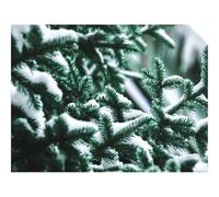 500 Pezzi Puzzle Difficile, Sfida per Adulti-Ramo,abete rosso 52x38cm