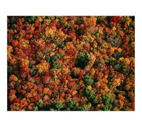 500 Pezzi Puzzle Giochi Rilassamento e Intelligence-foreste,vista aerea,alberi 52x38cm