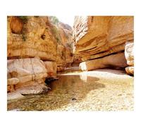 500 Pezzi Puzzle Giochi Rilassamento e Intelligence-Gola,rocce,natura 52x38cm