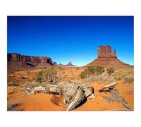 500 Pezzi Puzzle,Idea Regalo per lei o lui-Deserto,siccità,canyon 52x38cm