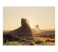 500 Pezzi Puzzle,Idea Regalo per lei o lui-Roccia,Valle,Raggi,Sabbia,Cespugli 52x38cm