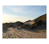500 Pezzi Puzzle,Idea Regalo per lei o lui-Sabbia,collina,dune,erba,tracce 52x38cm