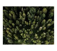 500 Pezzi Puzzle,Idea Regalo per lei o lui-Vista aerea,strada,alberi 52x38cm