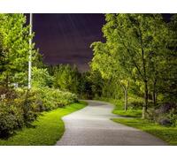 500 Pezzi Puzzle,Jigsaw Puzzle per Adulti - Alberi del sentiero del parco 52x38cm