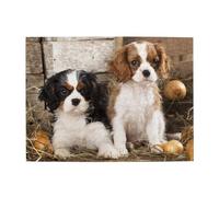 500 pezzi, puzzle per adulti, puzzle impegnativi, gioco di puzzle per tutti,Cuccioli di Cavalier King Charles Spaniel di piccola taglia