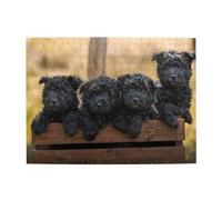 500 pezzi, puzzle per adulti, puzzle impegnativi, gioco di puzzle per tutti,Cuccioli di famiglia Affenpinscher Cani neri Scimmia