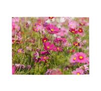 500 pezzi, puzzle per adulti, puzzle impegnativi, gioco di puzzle per tutti,Fiori rosa primaverili stampati
