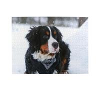 500 pezzi, puzzle per adulti, puzzle impegnativi, gioco di puzzle per tutti,Nevicata del cane da montagna bernese