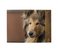 500 pezzi, puzzle per adulti, puzzle impegnativi, gioco di puzzle per tutti,Rough Collie Lassie Cani Grandi e Soffici Animali Domestici