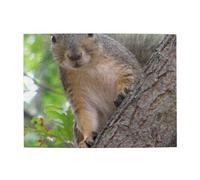 500 pezzi, puzzle per adulti, puzzle impegnativi, gioco di puzzle per tutti,Scoiattolo sull'albero