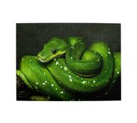 500 pezzi, puzzle per adulti, puzzle impegnativi, gioco di puzzle per tutti,Serpente verde rettile