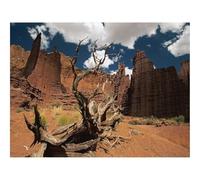 500 Pezzi Puzzle per Gioco Familiare-Canyon,albero,morto 52x38cm