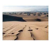 500 Pezzi Puzzle per Gioco Familiare-Deserto,sabbia,tracce 52x38cm