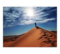 500 Pezzi Puzzle per Gioco Familiare-Deserto,viaggiatore 52x38cm