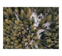 500 Pezzi Puzzle per Gioco Familiare-foreste,sentieri,vista aerea 52x38cm