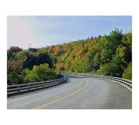 500 Pezzi Puzzle per Gioco Familiare-Strada,Alberi,Ombre,Svolta 52x38cm
