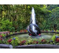 500 Pezzi Puzzle,Puzzle per Adulti - Fontana pesci giardino 52x38cm