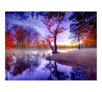 500 Pezzi Puzzle,Regalo per Amore e Amico-Autunno,silenzio,alberi 52x38cm