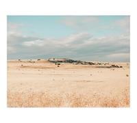 500 Pezzi Puzzle,Regalo per Amore e Amico-Campo,siccità,erba 52x38cm