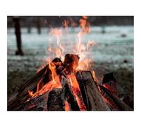 500 Pezzi Puzzle,Regalo per Amore e Amico-Falò,fuoco,legna 52x38cm