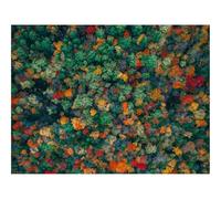 500 Pezzi Puzzle,Regalo per Amore e Amico-foreste,alberi,vista aerea 52x38cm