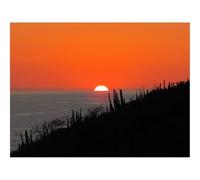 500 Pezzi Puzzle,Regalo per Amore e Amico-Mare,Tramonto,Sole,Orizzonte,Buio 52x38cm