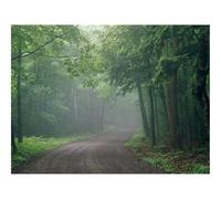 500 Pezzi Puzzle,Regalo per Amore e Amico-Nebbia,strada,bosco 52x38cm