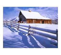 500 Pezzi Puzzle,Regalo per Amore e Amico-Recinzione,neve,cavalli 52x38cm