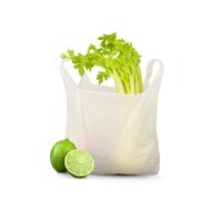 500 Shopper Biodegradabili 27x50 cm Medie Sacchetti a Norma Buste Spesa Umido
