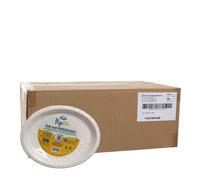 500 Vassoi piatti ovali grandi in polpa di cellulosa Ilip BIO 32x26 cm