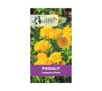 5000 semi di tarassaco selvatico - Taraxacum off - Dandelion - Cibo tartarughe terrestri - Facile da coltivare