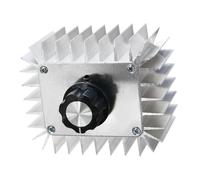 5000W Dimmer Regolatore di del Motore Regolatore di Tensione
