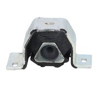 50045 BIRTH Sospensione, Motore per FIAT