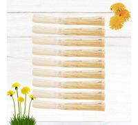 500g Multifunzionale Canna Giocattolo da Masticare Pet Rettifica Bastone