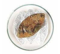 500g Tè Bianco Yunnan Alpine Ancient Tree Tea Bianco Biologico Golden Leaf Sun Sun Puerh Verde Biologico Bollito Senza Additivi Torta Di Tee Verde Dal Sapore Intenso E Puro