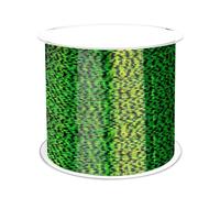 500M Linea di pesca invisibile Rivestimento in nylon Leader richiamo 0.14-0.5mm 4.13-34.32LB Accessori for la(6.0-0.4mm30.36LB)