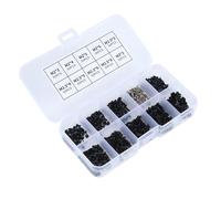 500Pcs Acciaio Inox Laptop Viti Kit M2 M25 M3 per