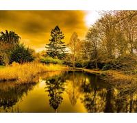 500Pcs Puzzle Jigsaw Puzzles per Adulti Bambini Adolescenti Relax Regali - Alberi in riva dello stagno 52x38cm