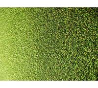 500Pcs Puzzle Jigsaw Puzzles per Adulti Bambini Adolescenti Relax Regali - Erba stadio verde 52x38cm