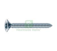 500PZ VITE AUTOFILETTANTE T.S.P. TSP MM 4,8 X 19: