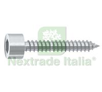 500PZ VITE AUTOFILETTANTE TCCE IN ACCIAIO ZINCATO BIANCO Ø MM.4,8X22: